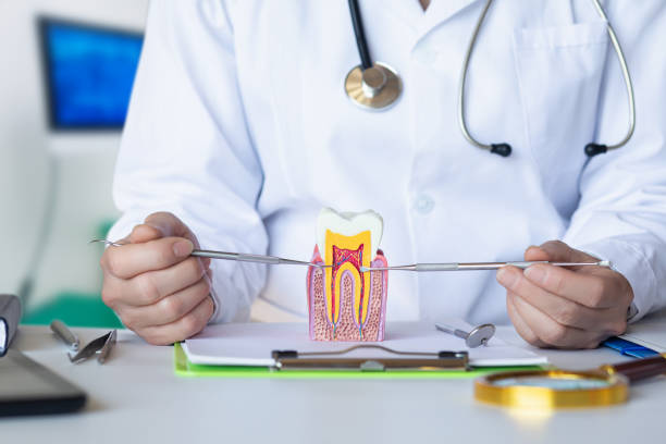Best Emergency Treatment for Jaw Pain or Injury in Leisure Village West, NJ